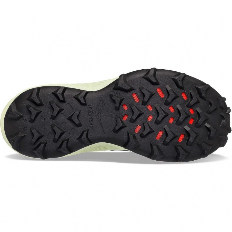 Saucony Endorphin Rift Trailrunning Schuhe Herren Grau Mintfarben | SCHWEIZ VDNHQ