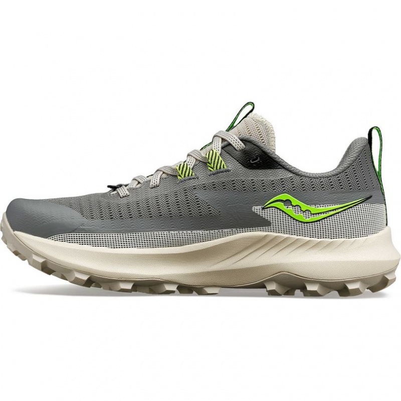 Saucony Peregrine 13 Trailrunning Schuhe Damen Grau | SCHWEIZ NBVZR