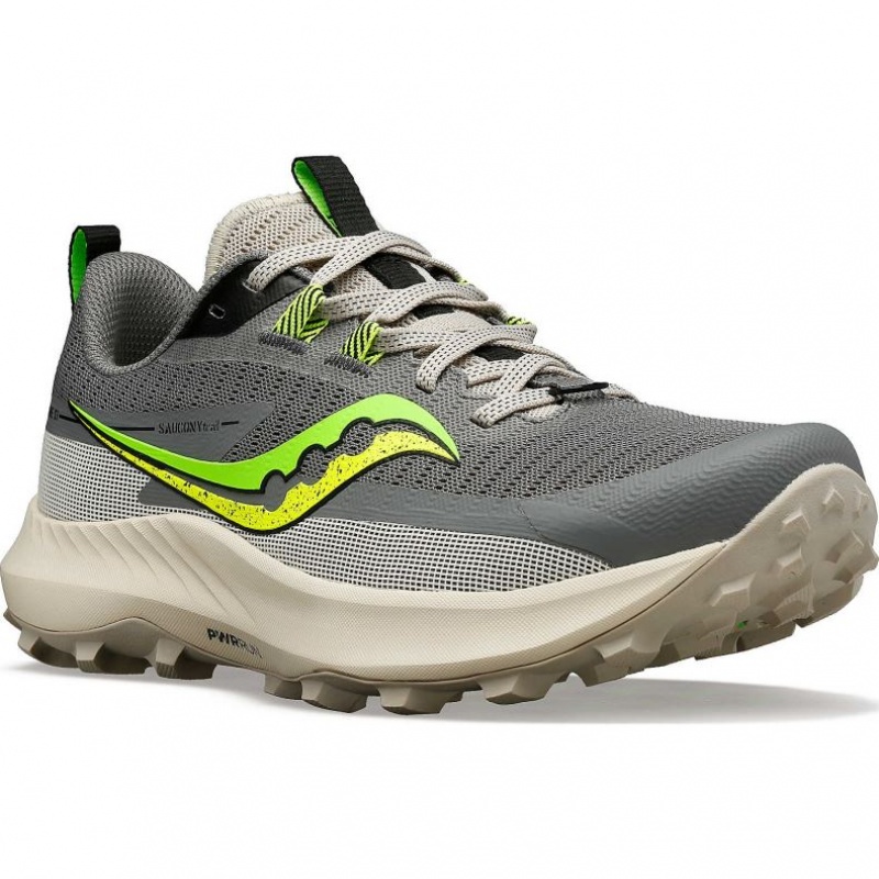 Saucony Peregrine 13 Trailrunning Schuhe Damen Grau | SCHWEIZ NBVZR