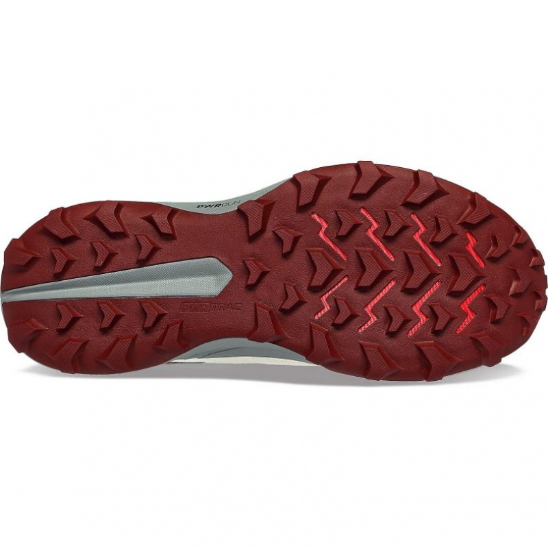 Saucony Peregrine 13 Trailrunning Schuhe Damen Weiß | SCHWEIZ POGDL