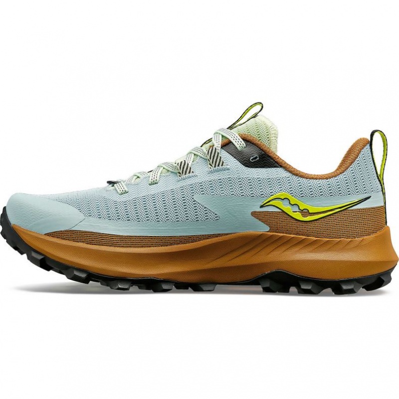 Saucony Peregrine 13 Trailrunning Schuhe Damen Hellblau Braun | SCHWEIZ SJXVP