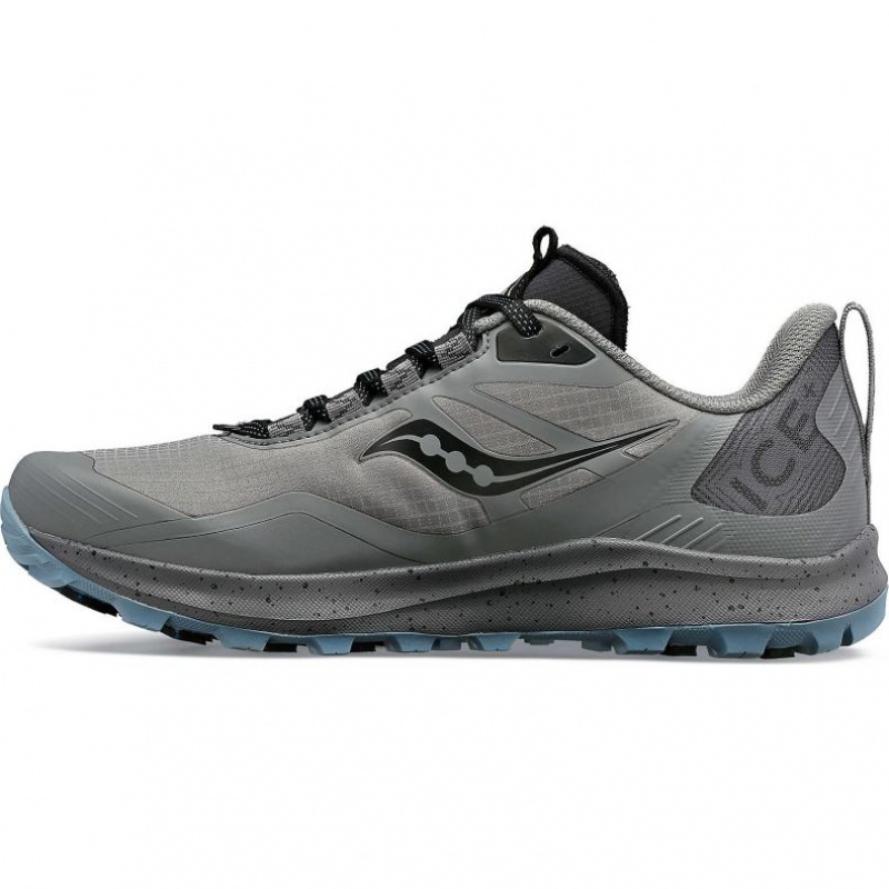 Saucony Peregrine ICE+ 3 Trailrunning Schuhe Damen Grau | SCHWEIZ AYUOE