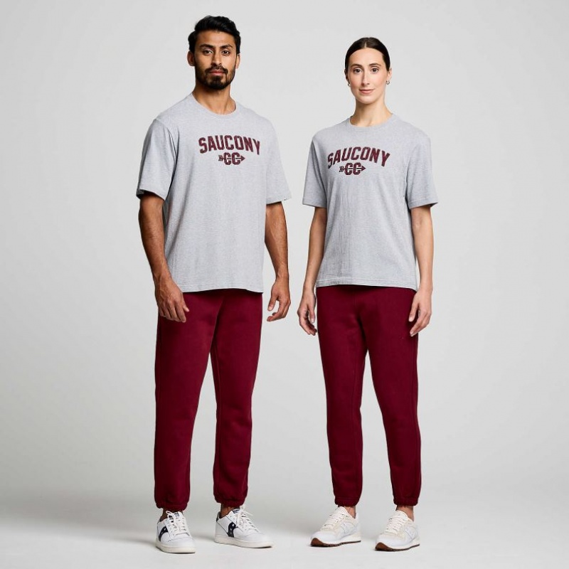 Saucony Recovery Kurzes Sleeve T-Shirt Damen Hellgrau | SCHWEIZ WFHEM