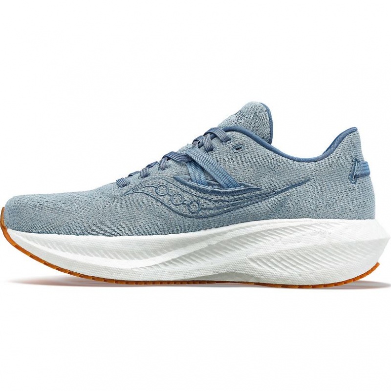 Saucony Triumph RFG Laufschuhe Herren Blau | SCHWEIZ IOKTW
