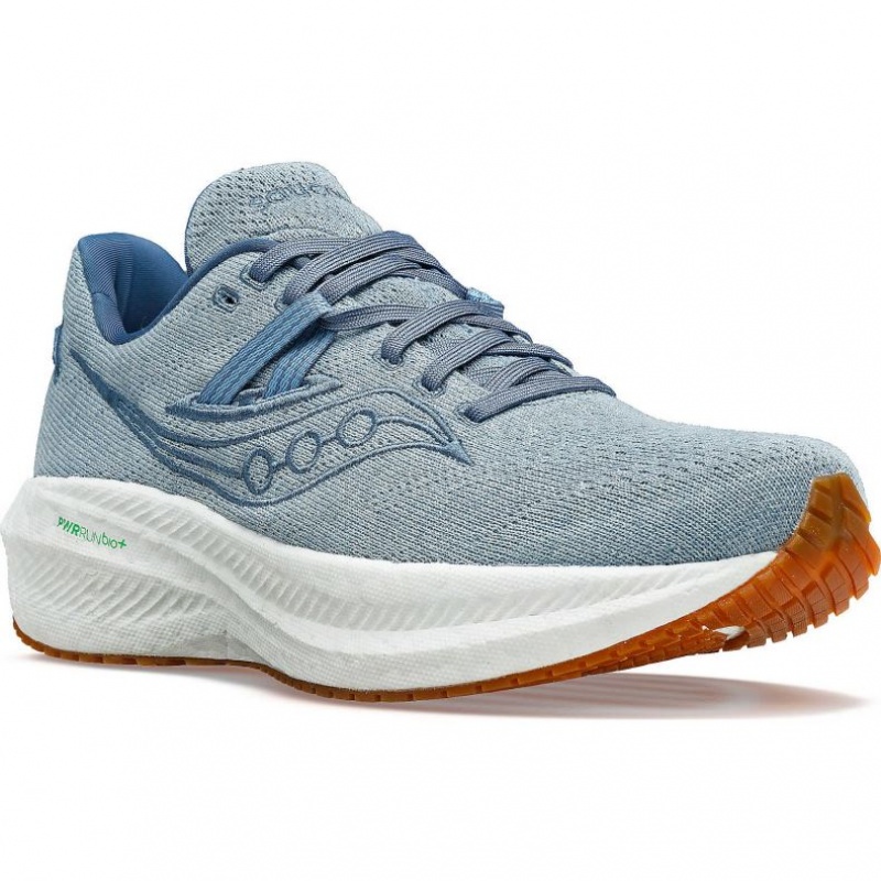Saucony Triumph RFG Laufschuhe Herren Blau | SCHWEIZ IOKTW