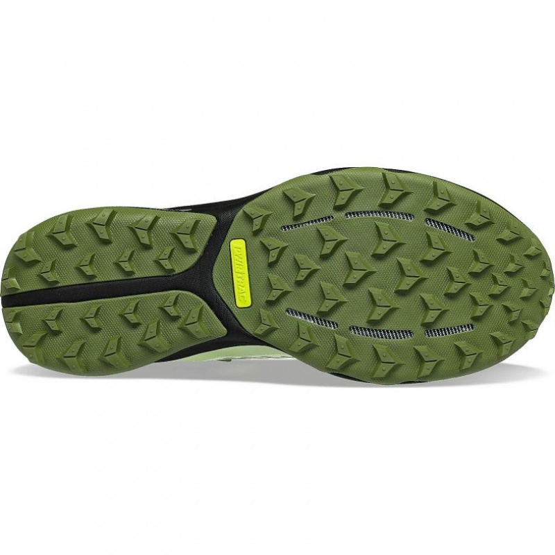 Saucony Ultra Ridge GTX Trailrunning Schuhe Herren Mintfarben | SCHWEIZ MLODG