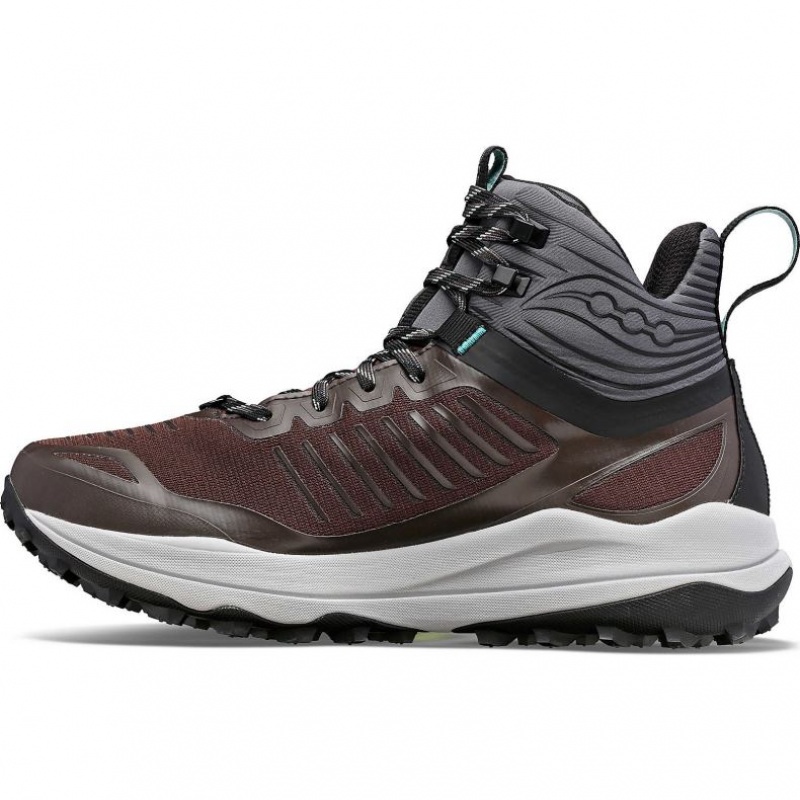 Saucony Ultra Ridge GTX Trailrunning Schuhe Damen Braun | SCHWEIZ KSINZ