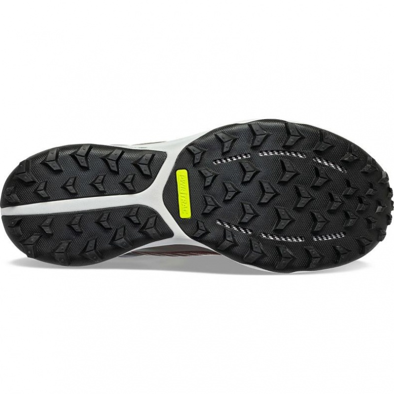 Saucony Ultra Ridge GTX Trailrunning Schuhe Damen Braun | SCHWEIZ KSINZ
