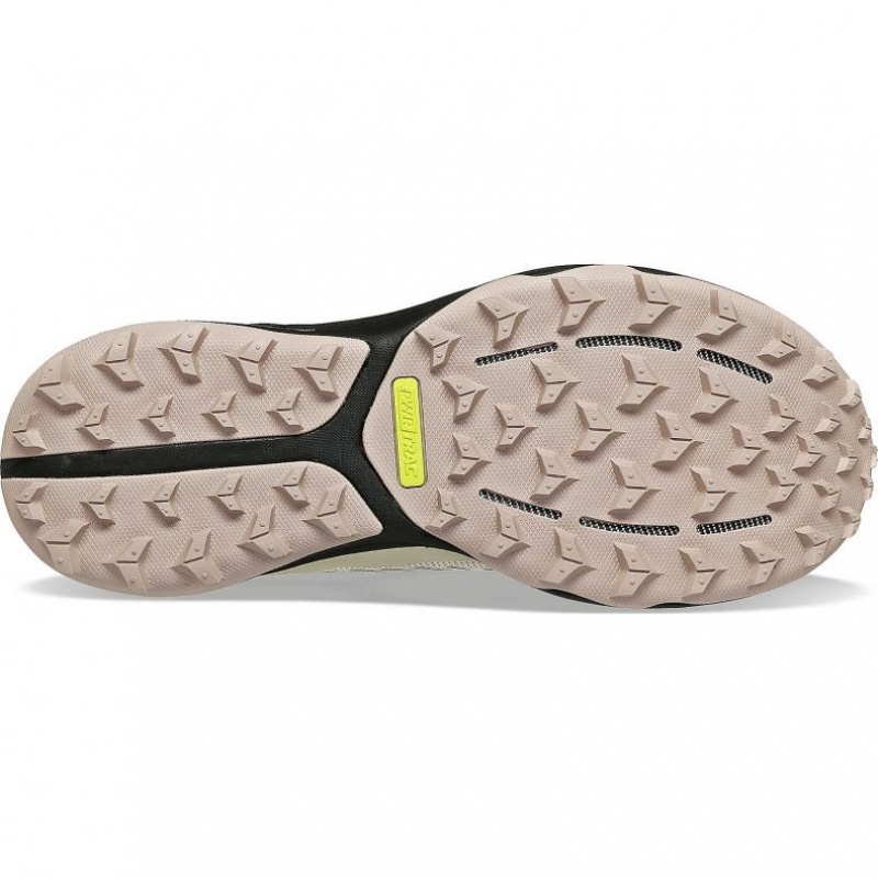 Saucony Ultra Ridge GTX Trailrunning Schuhe Damen Beige | SCHWEIZ MJHGV